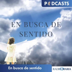 En busca de sentido