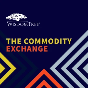 The Commodity Exchange