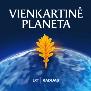 Vienkartinė planeta