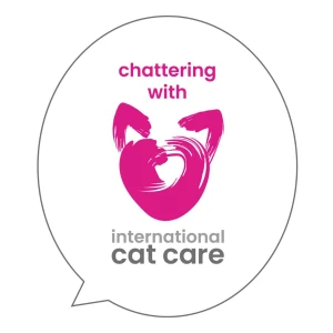 Chattering with iCatCare