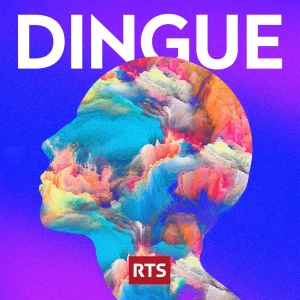 Dingue ‐ RTS