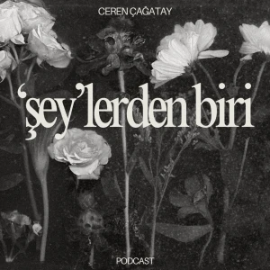 'şey'lerden biri