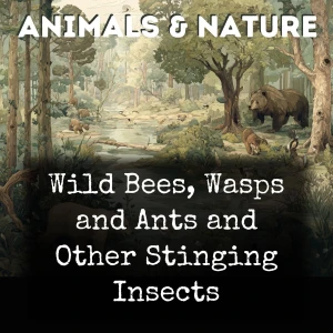Wild Bees, Wasps and Ants and Other Stinging Insects