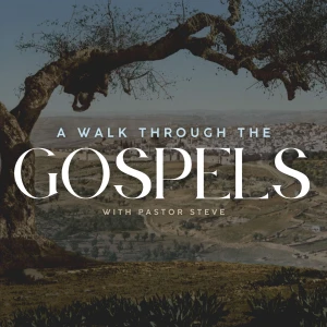 A Walk Through The Gospels And New Testament With Pastor Steve