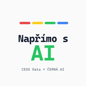 Napřímo s AI