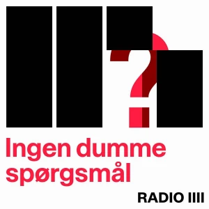 Ingen dumme spørgsmål