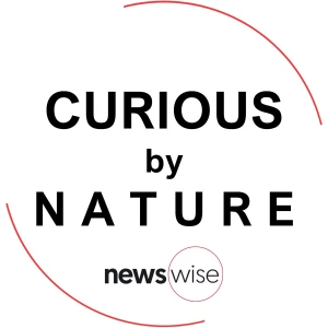 Curious by Nature