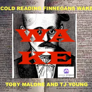 WAKE: Cold Reading Finnegans Wake