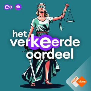 Het Verkeerde Oordeel