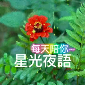 陪你在一起~星光夜語