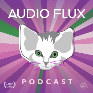 The Audio Flux Podcast