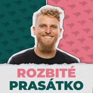 Rozbité prasátko