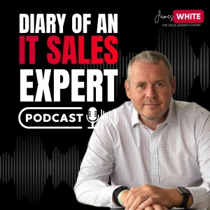 Diary of an IT Sales Expert