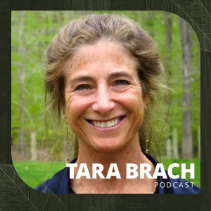 Tara Brach