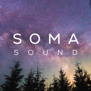 Sleep & Relaxation Music to Calm the Nervous System