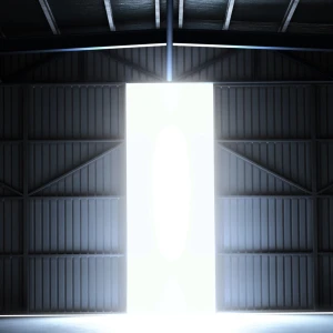 Secrets: Behind the Hangar Door