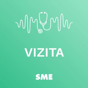 Vizita