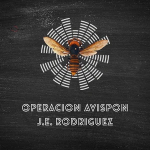 OPERACIÓN AVISPON