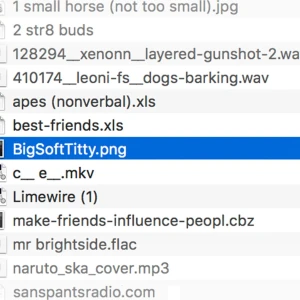 bigsofttitty.png