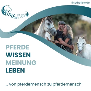find the flow ... von pferdemensch zu pferdemensch