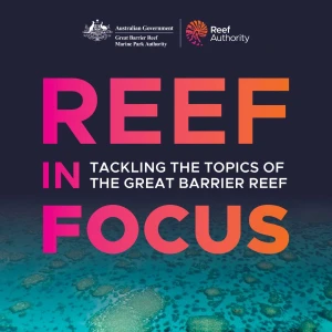 Reef in Focus