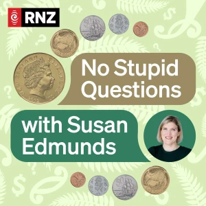 No Stupid Questions with Susan Edmunds
