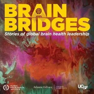 Brain Bridges