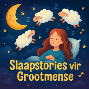 Slaapstories Vir Grootmense