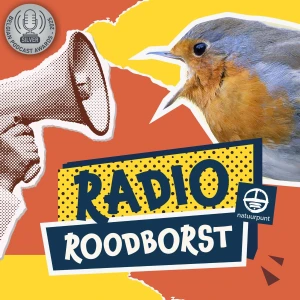 Radio Roodborst