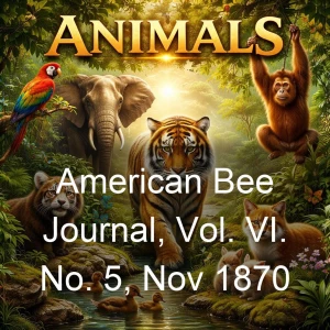 American Bee Journal, Vol. VI. No. 5, Nov 1870