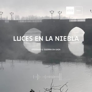Luces en la niebla
