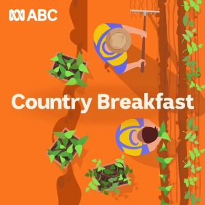 Country Breakfast