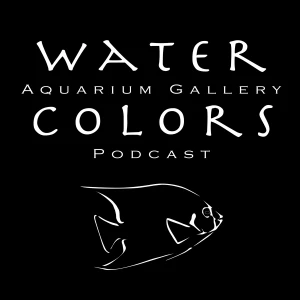 Water Colors Aquarium Gallery