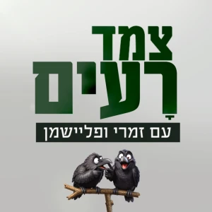 צמד רעים | יותם זמרי ואיתמר פליישמן