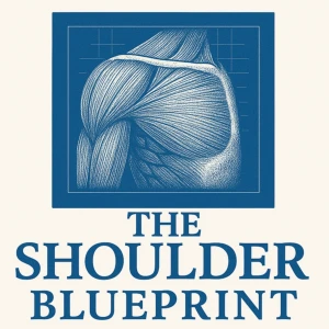 The Shoulder Blueprint