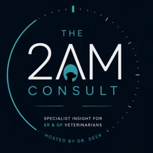 The 2AM Consult