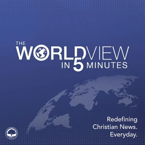 The WorldView in 5 Minutes