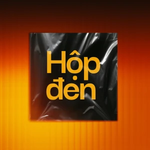 VnExpress Podcasts: Hộp đen