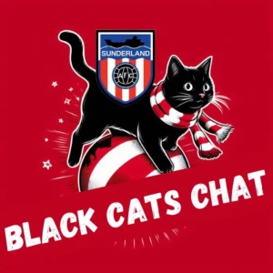 Black Cats Chat