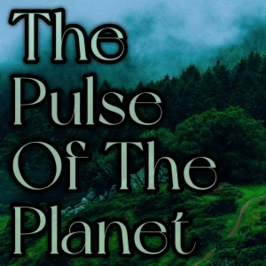 The Pulse Of The Planet