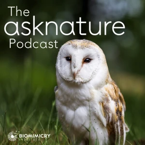 The AskNature Podcast