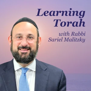 Learning Torah with Rabbi Sariel Malitzky