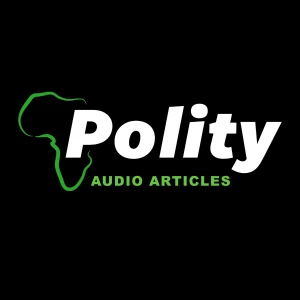 Polity.org.za Audio Articles