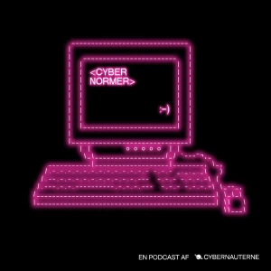 Cybernormer