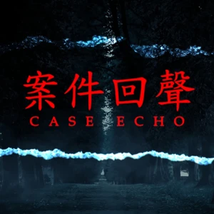 案件回聲