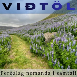 Viðtöl: Ferðalag nemanda í samtali