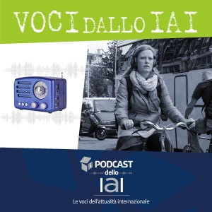Voci dallo IAI - Istituto Affari Internazionali