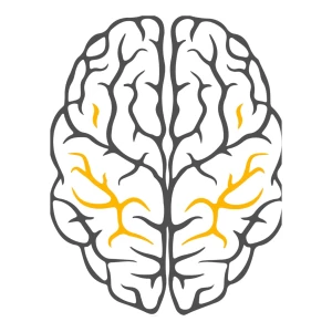 Neuropedia Podcast نيوروبيديا بودكاست