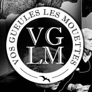 Vos Gueules les Mouettes