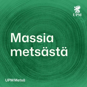 Massia metsästä